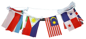 N2511-万国旗